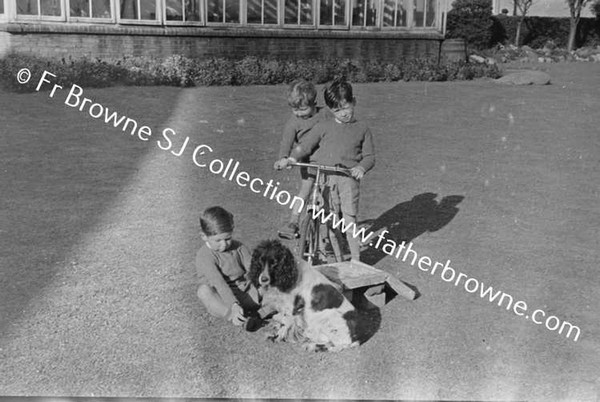 JOHN MALLICK PLAYING WITH HIS COUSINS O'NEILL & MRS O'NEILL AT MALLICKS ON CURRAGH